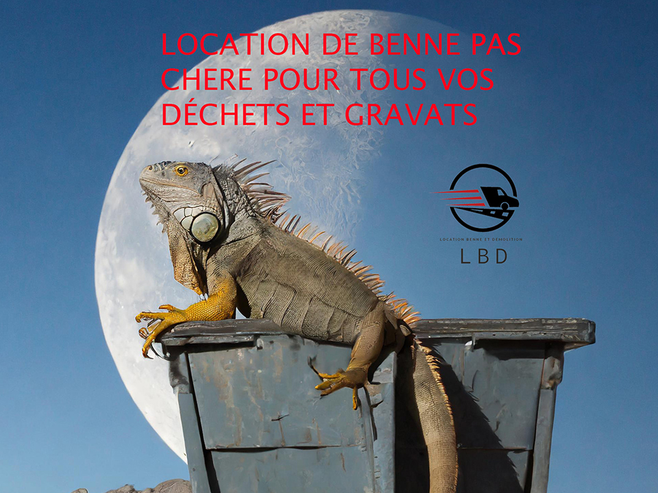 Location-de-benne-Paris-3
